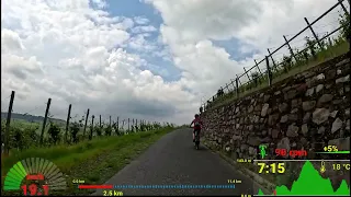 30 minute Scenic Indoor Cycling Workout Mosel Germany Telemetry 4K Video