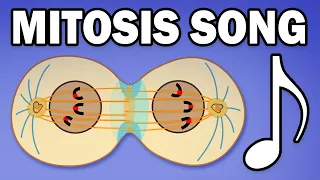 MITOSIS SONG (Learn in 3 Minutes!)