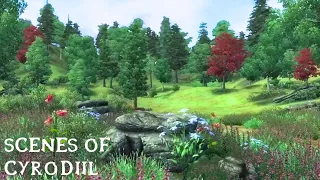 Scenes Of Cyrodiil | Oblivion Music and Ambience | Relax - Study - Sleep