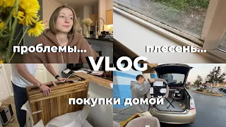 VLOG: Откровенный влог, почему так много проблем. Америка - это не просто. Покупки домой #америка