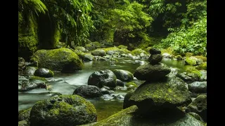 Blue Bayou - Linda Ronstadt legendado (ENG/PT-BR)