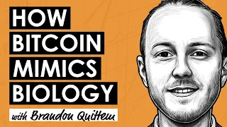 Bitcoin Functions Like A Biological Network w/ Brandon Quittem (BTC137)