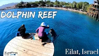 DOLPHIN REEF EILAT TRAVEL GUIDE -  ISRAEL - GOPRO