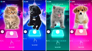 CUTE CAT CUPID VS CUTE DOG LADY GAGA VS CUTE CAT JUSTIN BIEBER VS CUTE DOG DUA LIPA NEW RULES