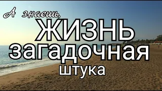 Дмитрий Кудрявцев. А знаешь, жизнь загадочная штука.