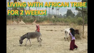 4k Rural living in Wollo region of Ethiopia near KOMBOLCHA