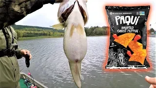 Bass Fishing CHALLENGE - HOT GHOST Pepper Chips