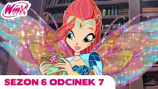 Winx Club - PEŁNY ODC - Zaginiona biblioteka - Sezon 6 Odcinek 7