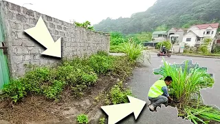 Clean up and cut trees,The sidewalk has too much grassmaking it impossible for people to walk on it