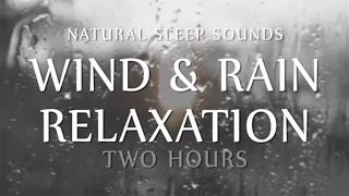 Wind and Rain Relaxation Two  Hours Natural Sleep Sounds (White Noise for Sleep, Study, Meditation)