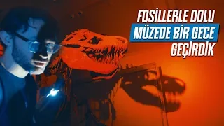 Fosillerle dolu müzede bir gece geçirdik!