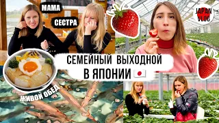 Клубничная ферма и живой обед! День из жизни нашей семьи в Японии