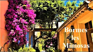 Bormes les Mimosas  💐Explosion de couleurs 💐 Visite des villages Français