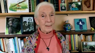 “Peace or Pieces?”: A Conversation that Matters with Dr. Jane Goodall, DBE and Jonathan Granoff