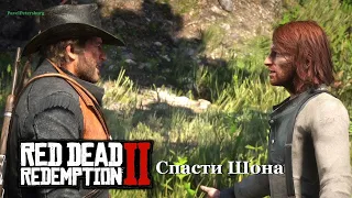 Red Dead Redemption 2 - Спасти Шона.