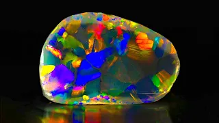 Cutting a top gem $8000 per carat black opal LIVE