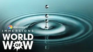 World of Wow: Satisfying Liquids in Slow Motion (Slow TV) | discovery+ Immersions