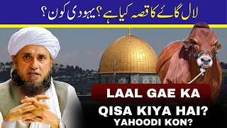 Laal Gae Ka Qissa |  لال گاۓ کا قصہ | Yahoodi kon hain? |  Mufti tariq masood