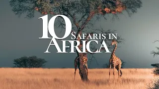 10 Most Beautiful Safaris to Visit in Africa | Safari Travel Guide
