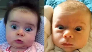 Babies React To Farts and Foot Smell