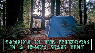 Vintage camping in Redwood State Park with @ChambersFamilyOverland