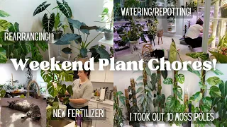 Weekend Full of Plant Chores! New Fertilizer, Rearranging, Repotting, and Luna not feeling well.