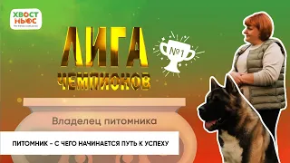 «Лига чемпионов». Как основать питомник и добиться успеха. Питомник "Индевор". Американская акита.