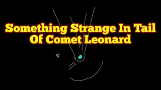 Something Is Strange About Tail Of Comet Leonard (C/2021 A1)