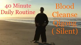 40 Minute Daily Routine The Blood Cleanse Qigong ( Silent )