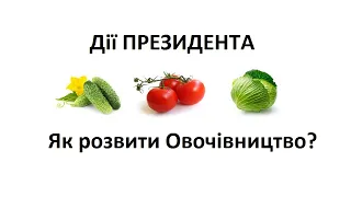 Як українців забезпечити кавунами, помідорами, капустою? Як розвинути овочівництво? Дії ПРЕЗИДЕНТА