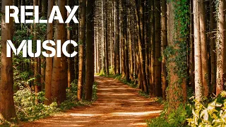 The Best Music To Relieve Fatigue! It is enough to listen to 10 minutes to relax