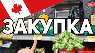 Закупка в Канаде! Экономить не получается. Что купили сегодня