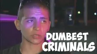 Best of Dumb Criminals | Funny Compilation