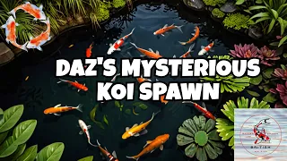 Mysterious spawn at Daz's Koi Farm