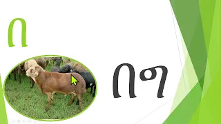 የአማርኛ ፊደል መማርያ (ቃላት ምስረታ) ከሀ-ቦ - Amharic Hahu For Kids ቁጥር 10
