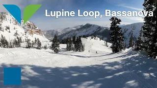 Snowbird - Lupine Loop to Bassanova