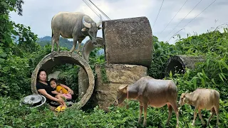 In the middle of the deep forest, two children screamed for their mother - Loc Thi Huong