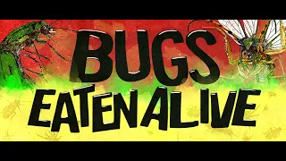 Bugs: Eaten Alive (HIGHLIGHTS) Halloween Horror Nights 2022 | Universal Studios Florida