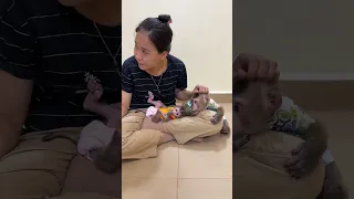 Monkey Jacky and Baby Titas it is play with  mom