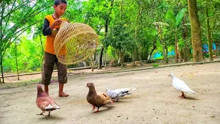 Amazing Pigeon Trapping technique | Boy Catching Bird With Fishing Tools Polo