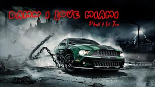 Pitbull & Lil Jon - Damn I Love Miami (Lyric Video) - Nimash