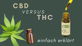 DER UNTERSCHIED: CBD vs. THC » ERKLÄRUNG