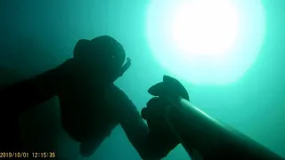 Подводная охота в Абхазии