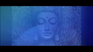 Digital dementia (music video)