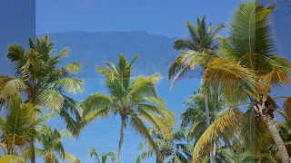 Dom Rep: Samana, Bacardi Island, Dominican Republic, Caribbean, Cayo Levantado