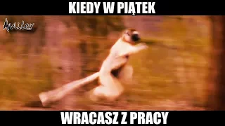 KIEDY W PIĄTEK WRACASZ Z PRACY 😎👌