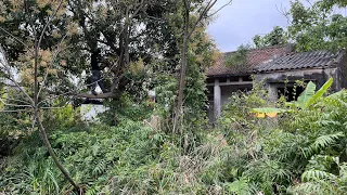 The abandoned house was overgrown with grass until we cleaned it up and it looked very nice