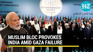 Muslim Nations' Kashmir Cry Amid War In Gaza; OIC Targets India On J&K, Cries 'Occupation' | Watch