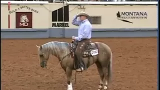 Matt Dillon Dun It - 2005 AQHA Sr. Working Cow Horse World Champion