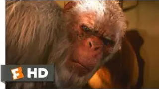 Goosebumps (1/10) Movie Clip - The Abominable Snowman of Pasadena (2015) Full HD